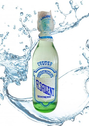 GASEOSA A.SALLENT (CAJA 10) RETORNABLE