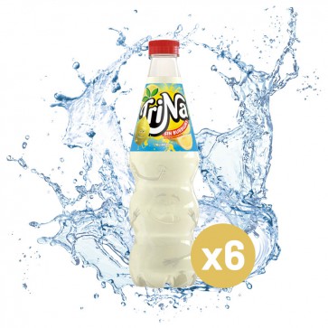 Trina limón (Pack 6 x 1,5L)