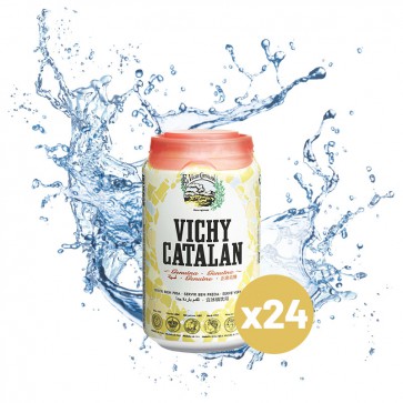 Vichy Catalan (Pack 24 x 0,33L)